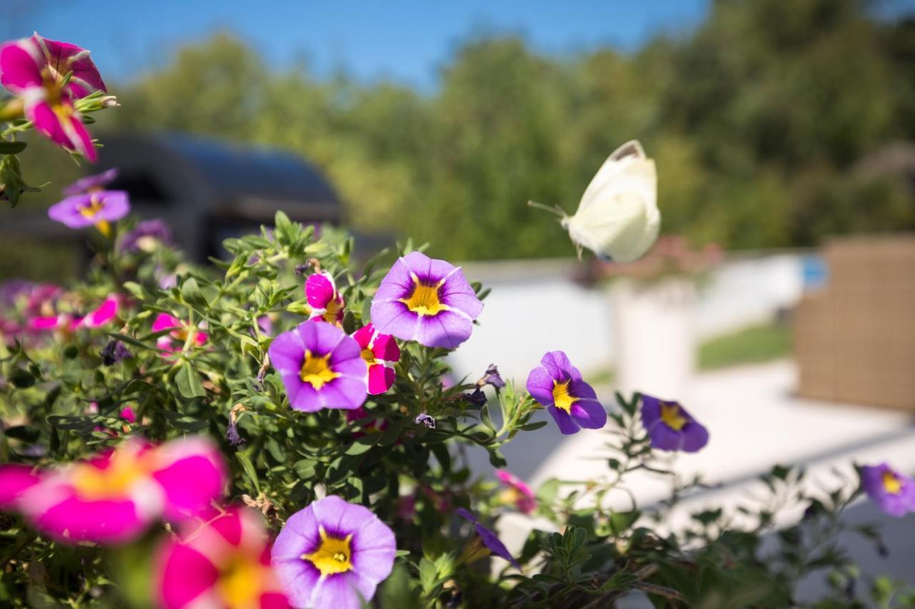 Villa Benic Crikvenica Buitenkant foto